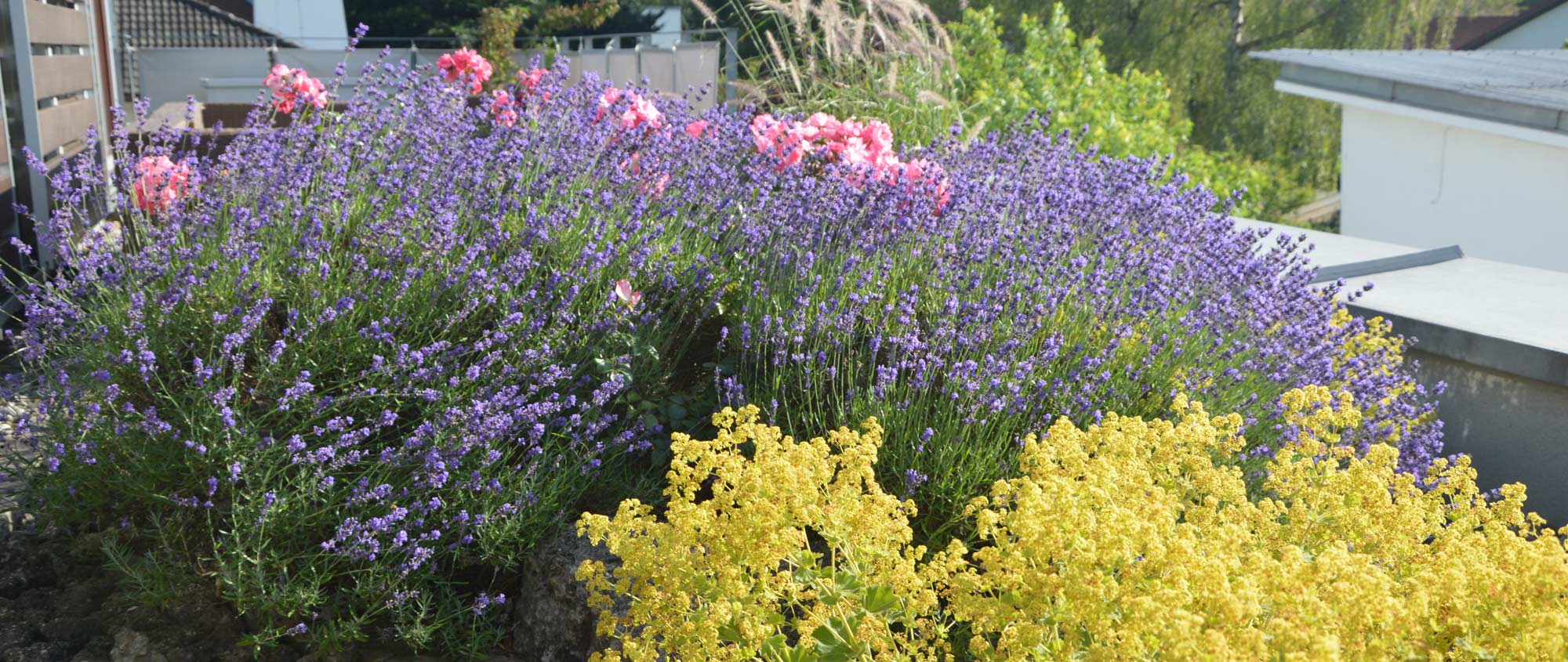 Psychotherapie Ganzheitlich Dr. phil. Kobosil Psychotherapie Ganzheitlich Dr. phil. Kobosil