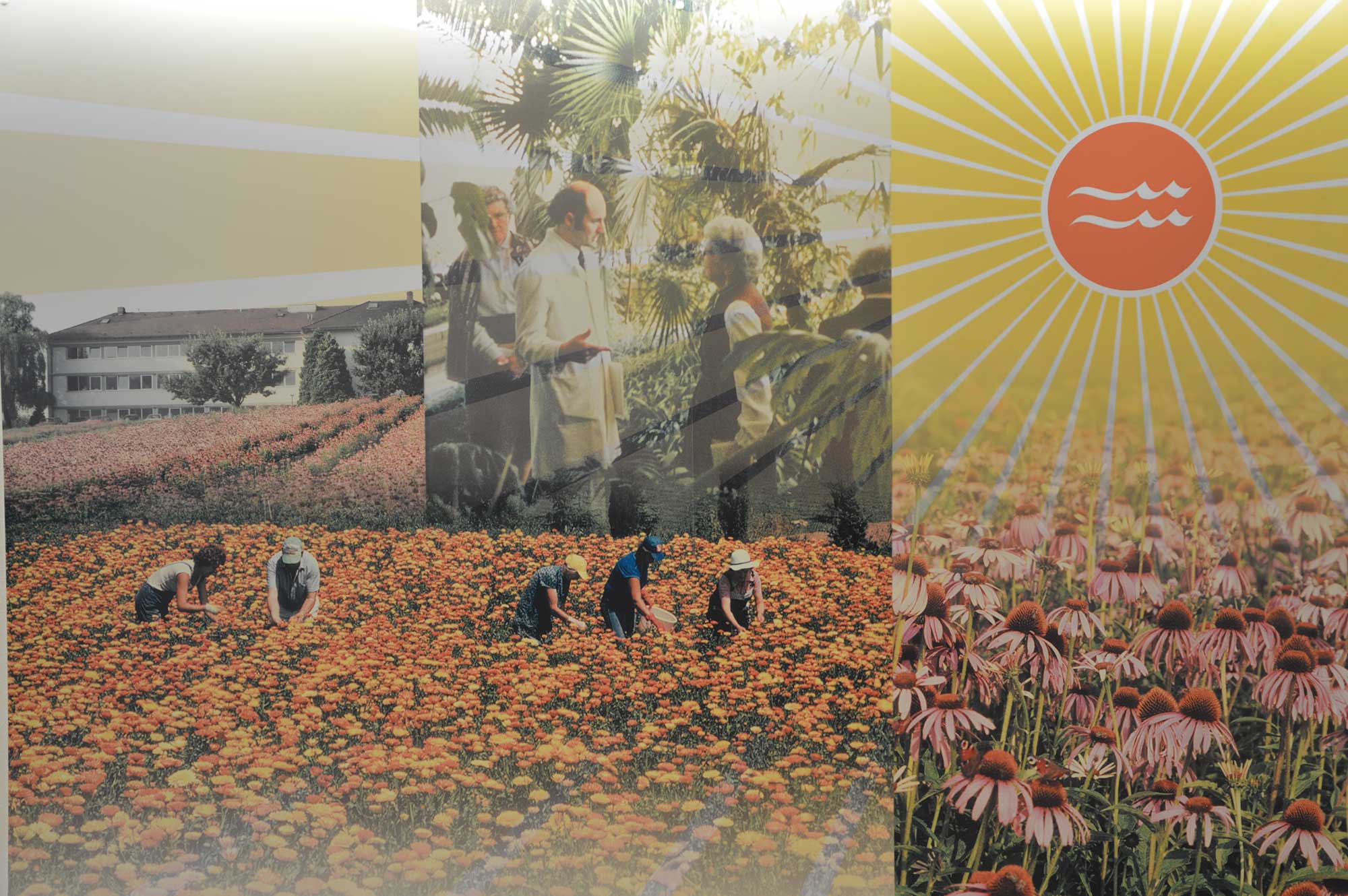 Kräutergarten Kräutergarten